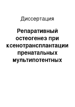 Диссертация: Репаративный остеогенез при ксенотрансплантации пренатальных мультипотентных мезенхимальных стромальных клеток и хондробластов человека