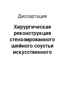 Диссертация: Хирургическая реконструкция стенозированного шейного соустья искусственного пищевода