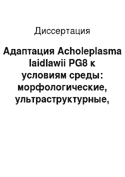 Диссертация: Адаптация Acholeplasma laidlawii PG8 к условиям среды: морфологические, ультраструктурные, патогенные и молекулярно-генетические аспекты