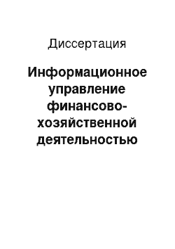 Диссертация: Информационное управление финансово-хозяйственной деятельностью предприятия и его развитие на множестве компромиссных решений