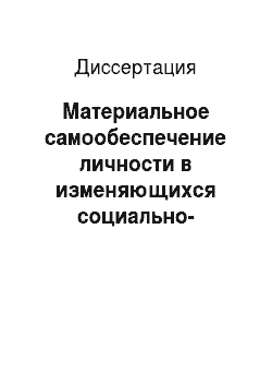 Диссертация: Материальное самообеспечение личности в изменяющихся социально-экономических условиях России