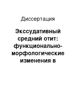 Диссертация: Экссудативный средний отит: функционально-морфологические изменения в носоглотке и бара-банной полости, совершенствование методов их коррекции