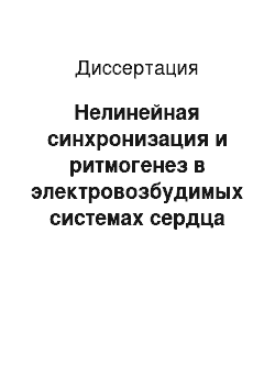 Диссертация: Нелинейная синхронизация и ритмогенез в электровозбудимых системах сердца