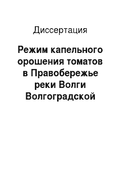 Диссертация: Режим капельного орошения томатов в Правобережье реки Волги Волгоградской области
