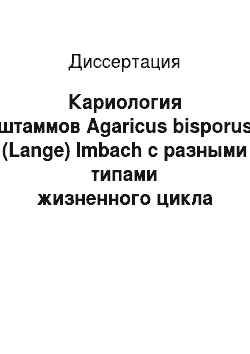Диссертация: Кариология штаммов Agaricus bisporus (Lange) Imbach с разными типами жизненного цикла