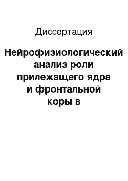 Диссертация: Нейрофизиологический анализ роли прилежащего ядра и фронтальной коры в организации поведения с выбором пищевого подкрепления