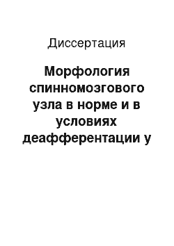 Диссертация: Морфология спинномозгового узла в норме и в условиях деафферентации у взрослой крысы: экспериментально-морфологическое исследование