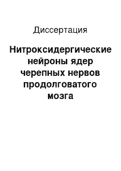 Диссертация: Нитроксидергические нейроны ядер черепных нервов продолговатого мозга позвоночных