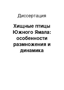 Диссертация: Хищные птицы Южного Ямала: особенности размножения и динамика численности