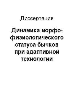 Диссертация: Динамика морфо-физиологического статуса бычков при адаптивной технологии содержания