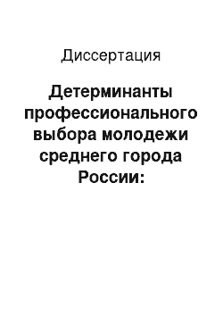 Диссертация: Детерминанты профессионального выбора молодежи среднего города России: социокультурный анализ