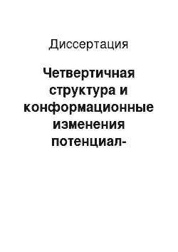 Диссертация: Четвертичная структура и конформационные изменения потенциал-зависимых калиевых каналов Kv2. 1 и Kv10. 2