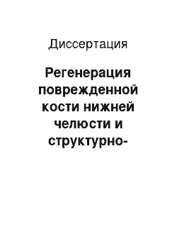 Диссертация: Регенерация поврежденной кости нижней челюсти и структурно-клеточные изменения субмандибулярных лимфатических узлов крыс при использовании аутологичного фибринового сгустка