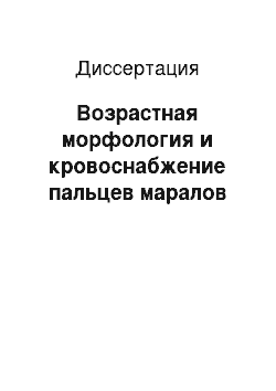 Диссертация: Возрастная морфология и кровоснабжение пальцев маралов