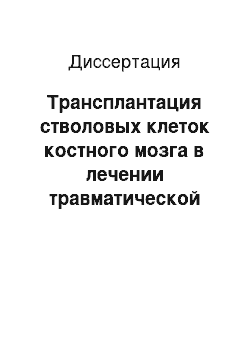 Диссертация: Трансплантация стволовых клеток костного мозга в лечении травматической болезни спинного мозга