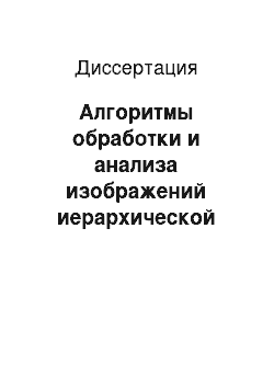 Диссертация: Алгоритмы обработки и анализа изображений иерархической временной сетью