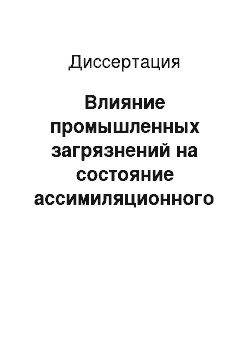 Диссертация: Влияние промышленных загрязнений на состояние ассимиляционного аппарата сосны обыкновенной (Pinus sylvestris L.) на Кольском полуострове