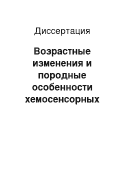 Диссертация: Возрастные изменения и породные особенности хемосенсорных образований носа кошки домашней (Felis catus)