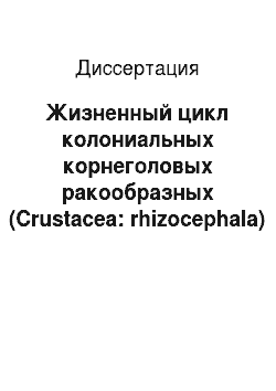 Диссертация: Жизненный цикл колониальных корнеголовых ракообразных (Crustacea: rhizocephala)