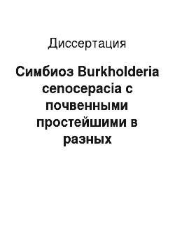 Диссертация: Симбиоз Burkholderia cenocepacia с почвенными простейшими в разных экологических условиях
