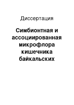 Диссертация: Симбионтная и ассоциированная микрофлора кишечника байкальских брюхоногих моллюсков