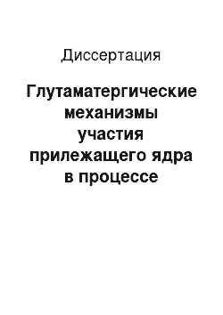 Диссертация: Глутаматергические механизмы участия прилежащего ядра в процессе пищевого подкрепления