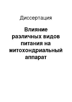 Диссертация: Влияние различных видов питания на митохондриальный аппарат энтероцитов в постнатальный период онтогенеза