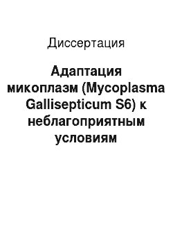 Диссертация: Адаптация микоплазм (Mycoplasma Gallisepticum S6) к неблагоприятным условиям