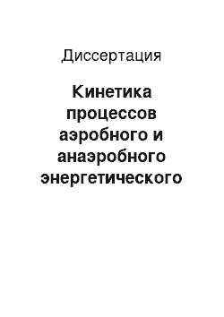 Диссертация: Кинетика процессов аэробного и анаэробного энергетического обмена у человека при напряженной мышечной деятельности