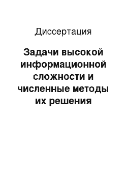 Диссертация: Задачи высокой информационной сложности и численные методы их решения