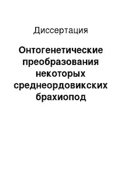 Диссертация: Онтогенетические преобразования некоторых среднеордовикских брахиопод Восточной Балтики и их систематическое значение