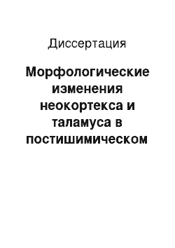 Диссертация: Морфологические изменения неокортекса и таламуса в постишимическом периоде на фоне хронического стресса и их коррекции церепро (эксмериментальное исследование)