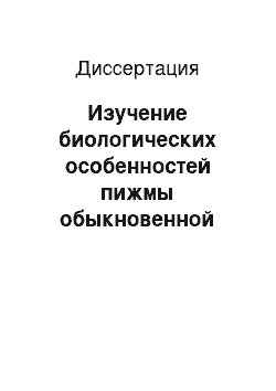 Диссертация: Изучение биологических особенностей пижмы обыкновенной (Tanacetum vulgare L.) в Нечерноземной зоне России