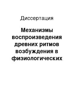 Диссертация: Механизмы воспроизведения древних ритмов возбуждения в физиологических процессах