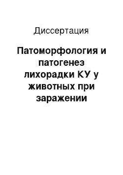 Диссертация: Патоморфология и патогенез лихорадки КУ у животных при заражении разными штаммами коксиелл Бернета и при совместном течении с лучевой болезнью