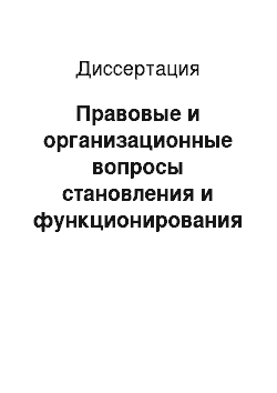 Диссертация: Правовые и организационные вопросы становления и функционирования законодательных (представительных) органов государственной власти субъектов Российской Федерации