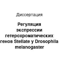 Диссертация: Регуляция экспрессии гетерохроматических генов Stellate y Drosophila melanogaster