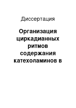 Диссертация: Организация циркадианных ритмов содержания катехоламинов в селезенке, вилочковой железе и миелограммы при гипо-и гиперпаратиреозе: экспериментальное исследование