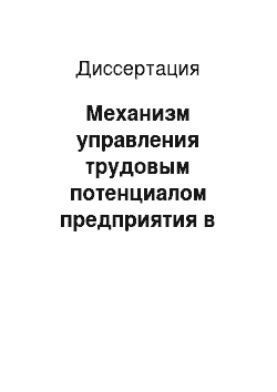 Диссертация: Механизм управления трудовым потенциалом предприятия в промышленном мегаполисе: На примере предприятий Нижегородской области