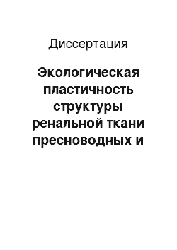 Диссертация: Экологическая пластичность структуры ренальной ткани пресноводных и морских костистых рыб