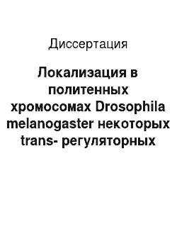 Диссертация: Локализация в политенных хромосомах Drosophila melanogaster некоторых trans-регуляторных факторов транскрипции