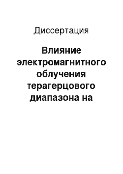 Диссертация: Влияние электромагнитного облучения терагерцового диапазона на частотах молекулярного спектра излучения и поглощения оксида азота 150, 176-150, 664 ГГц на стрессорные изменения перфузии микроциркуляторного русла и функционального состояния эндотелия сосудов