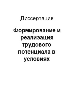 Диссертация: Формирование и реализация трудового потенциала в условиях перехода к рыночным отношениям: На примере Вьетнама