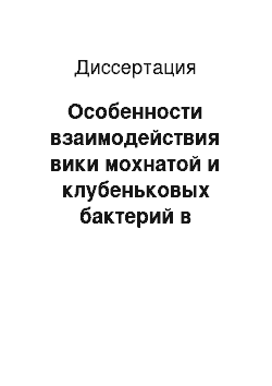 Диссертация: Особенности взаимодействия вики мохнатой и клубеньковых бактерий в различных экологических условиях