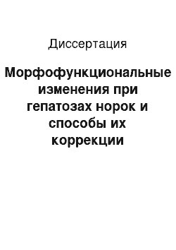 Диссертация: Морфофункциональные изменения при гепатозах норок и способы их коррекции