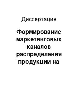 Диссертация: Формирование маркетинговых каналов распределения продукции на основе долгосрочных партнерских отношений: На примере предприятий машиностроения