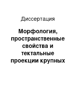 Диссертация: Морфология, пространственные свойства и тектальные проекции крупных ганглиозных клеток сетчатки опистоцентра Pholidapus Dybowskii (Pisces: Perciformes: Stichaeidae)