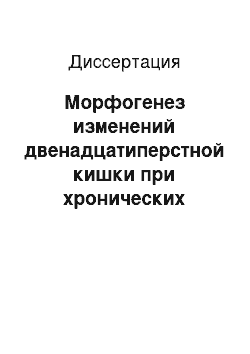 Диссертация: Морфогенез изменений двенадцатиперстной кишки при хронических нарушениях ее проходимости и после их коррекции в эксперименте