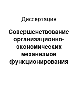 Диссертация: Совершенствование организационно-экономических механизмов функционирования электронных платежных систем в российских коммерческих банках