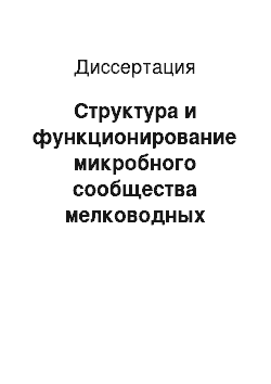 Диссертация: Структура и функционирование микробного сообщества мелководных заливов озера Байкал